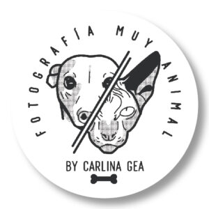 FOTOGRAFÍA MUY ANIMAL