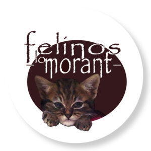 |  FELINOS LO MORANT  |