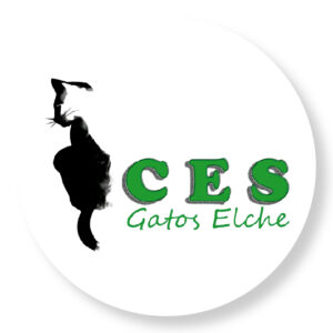 |  CES GATOS ELCHE  |
