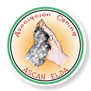 | ASCAN - ELDA |
