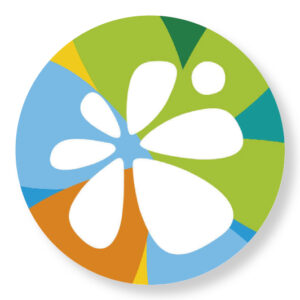 AYUNTAMIENTO DE ELCHE