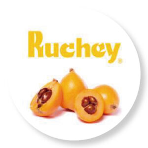 CONSERVAS ARTESANAS DEL NÍSPERO