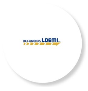 RECAMBIOS LOEMI