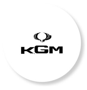 KGM -SSANYOUNG - GRUPO PAREDES