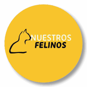 | NUESTROS FELINOS ALACANT |