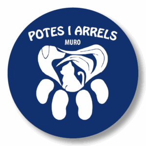 |  POTES i ARRELS  |