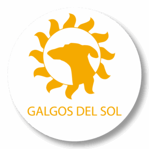 |  GALGOS DEL SOL  |
